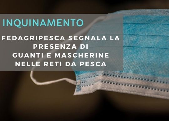 INQUINAMENTO (1).jpg